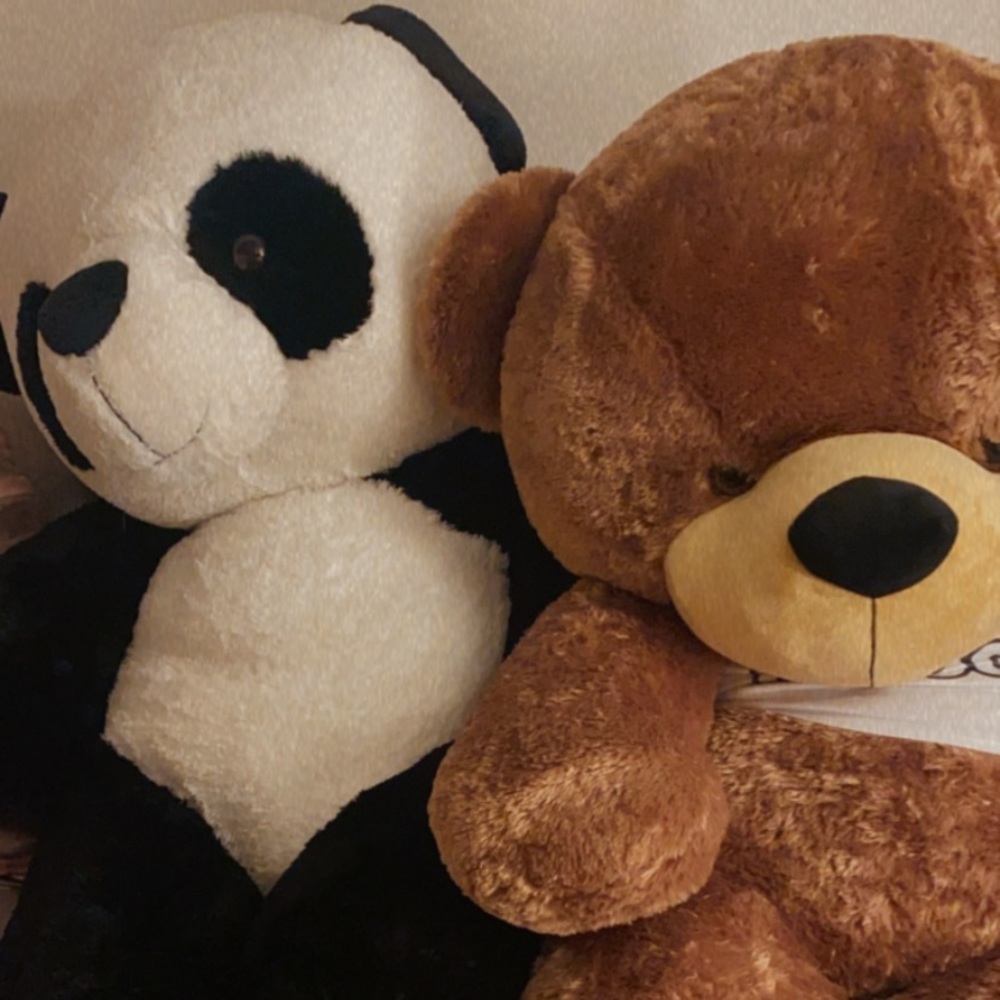 Giant Teddy Bears